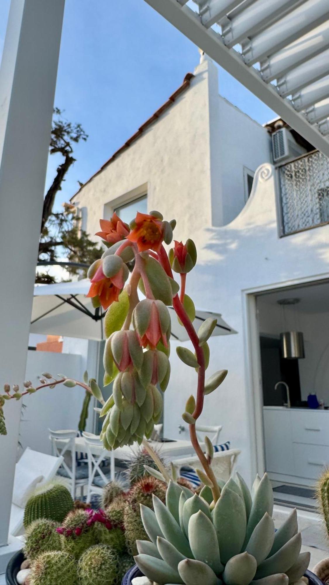 Casa Blu Marbella Βίλα Εξωτερικό φωτογραφία