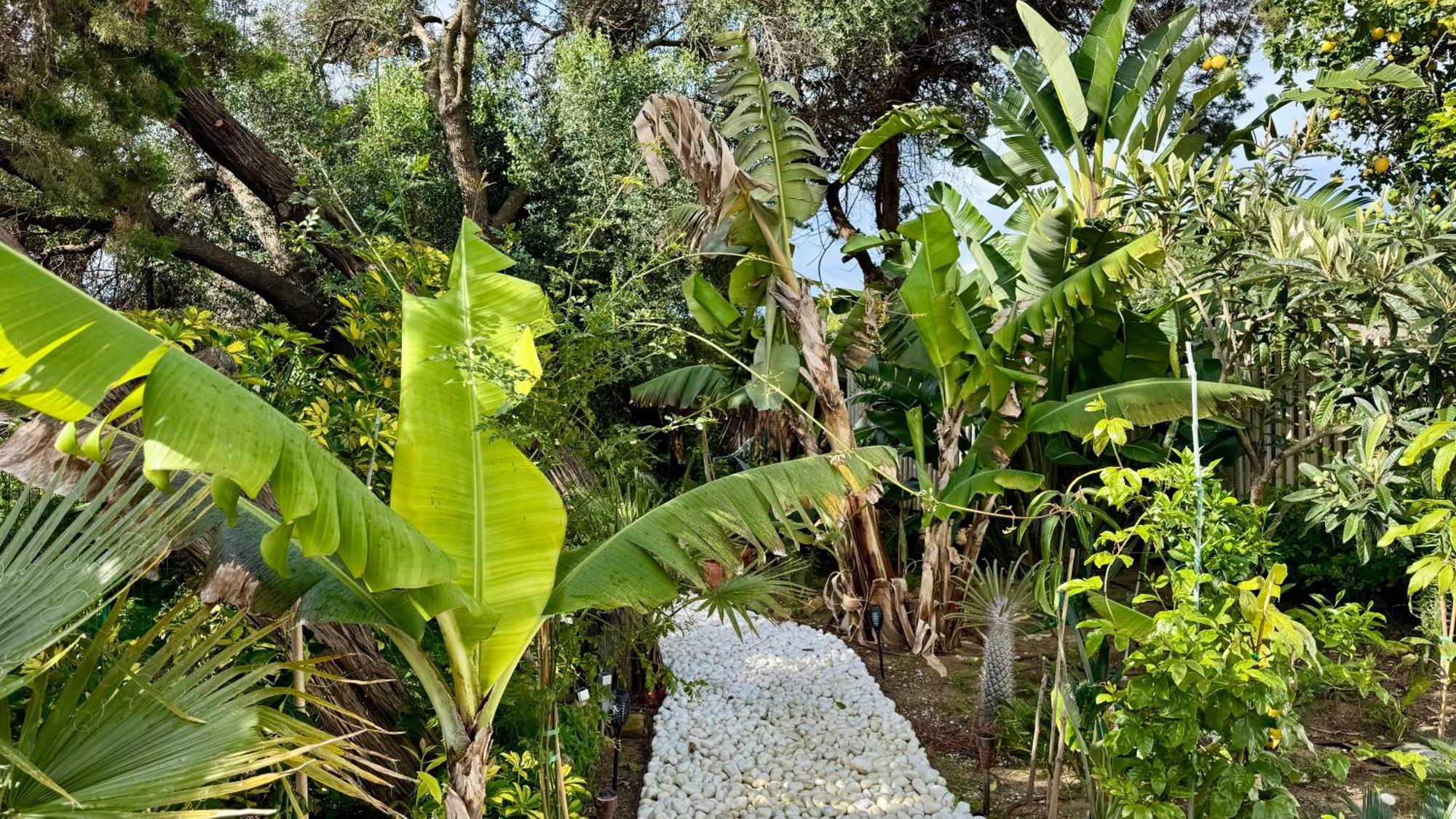 Casa Blu Marbella Βίλα Εξωτερικό φωτογραφία